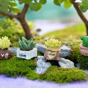 Mini Flower Trees & Cactus Miniature Plants