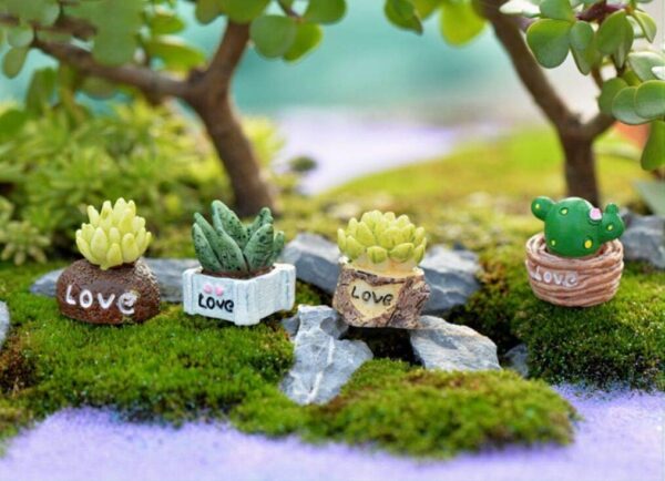 Mini Flower Trees & Cactus Miniature Plants