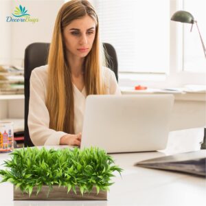 Bamboo Leaves In Wooden Tray