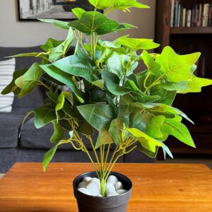 Floret Artificial Japanese Ivy Plant