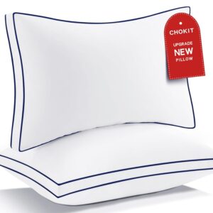 Premium Pillows Set of 2