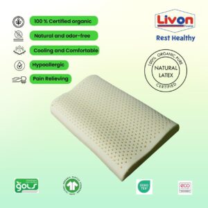 Organic Pure Natural Pillow