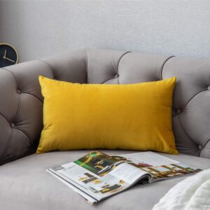 Velvet Cushion Covers Throw Pillow Case