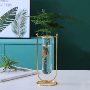 Glass Planter Hydroponics Vase Glass