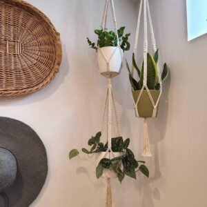 Macrame Cotton Plant Hanger