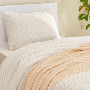 Twin Comforter Set