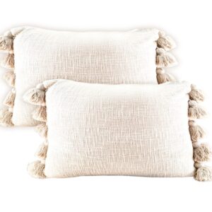 71qCrapTtL._SL1500_.jpg Set of 2 Pcs Decorative Tassel Cushion Cover