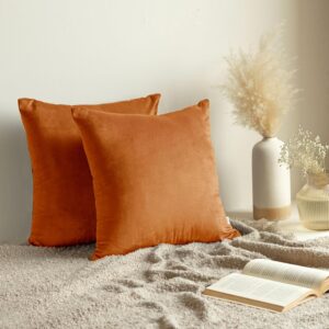 Burnt Orange Velvet Pillow Covers